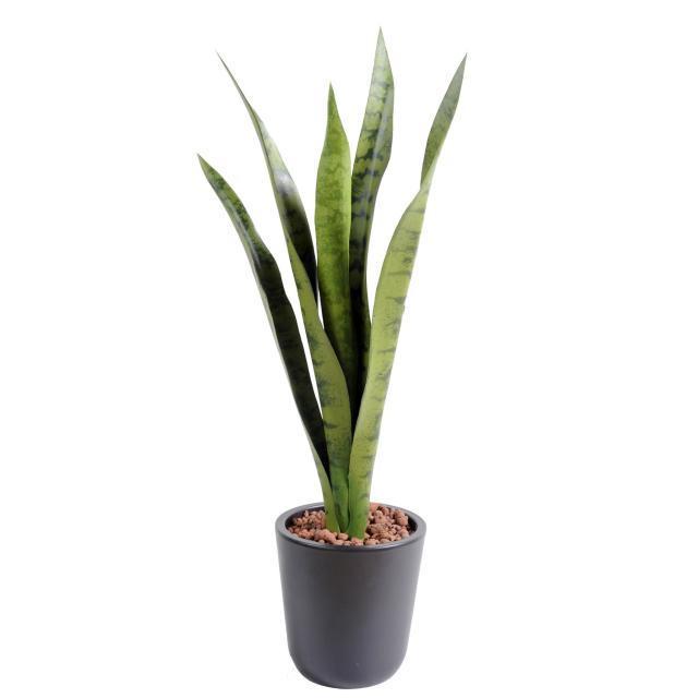 Sansevieria Artificiel Piquet MM