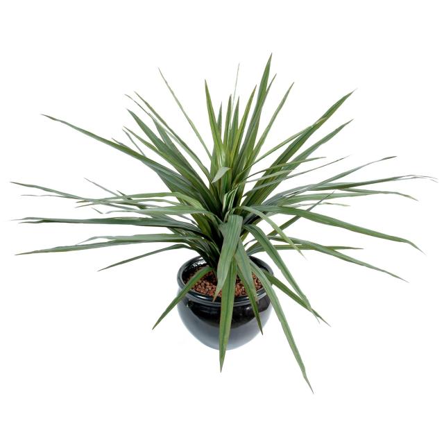 Dracaena Artificiel Marginata 58f