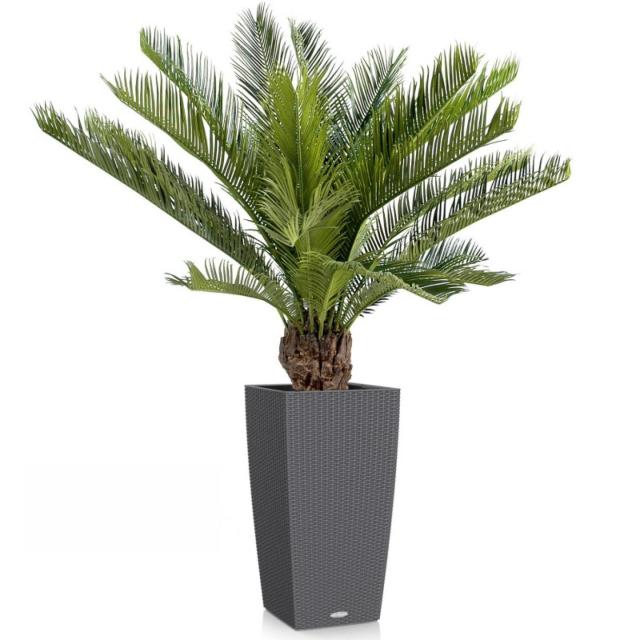 Cycas Artificiel Avec Tronc : 2 Hauteurs Disponibles 90 cm et 100 cm