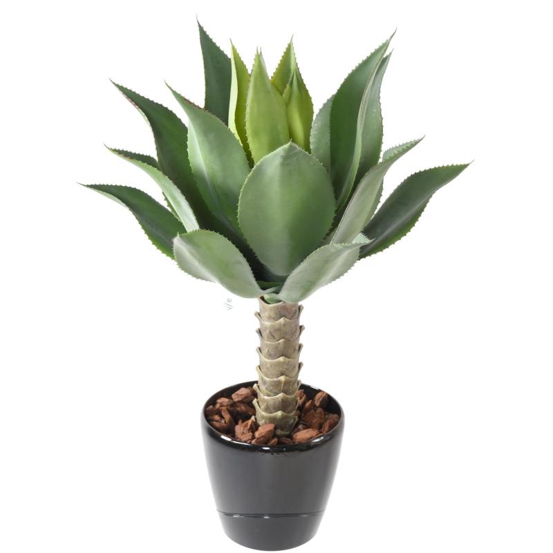 Agave Artificielle L