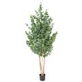 Eucalyptus Artificiel Gunnii Buisson