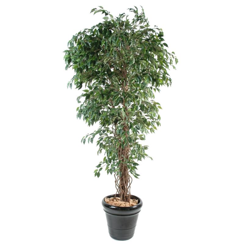 Ficus artificiel lianes petites feuilles