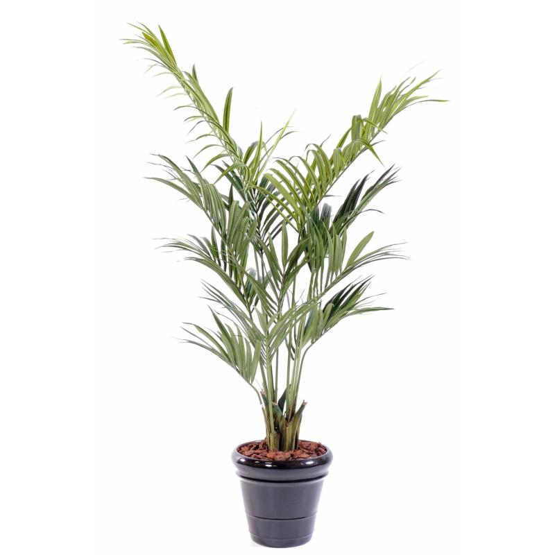 Kentia artificiel Palm