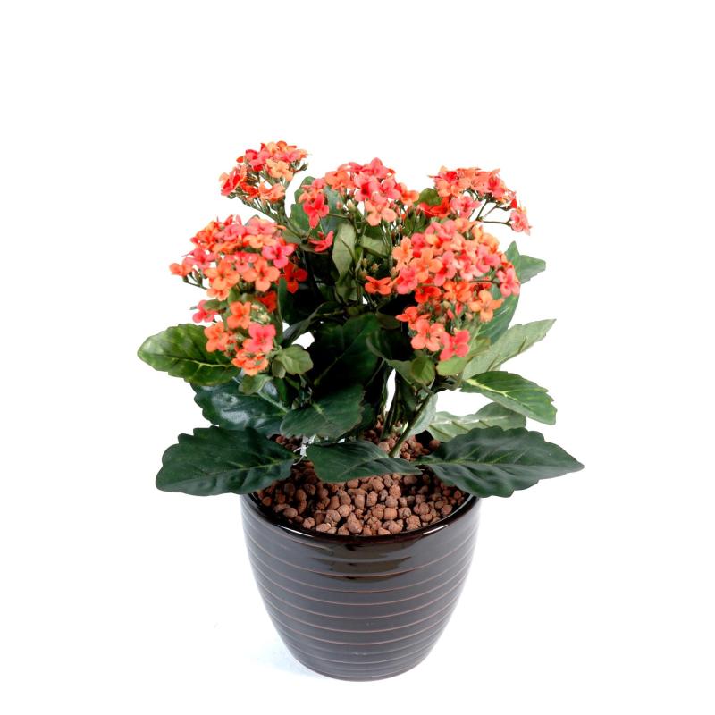 Kalanchoe Artificiel