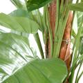 Pothos artificiel Géant