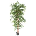 Aralia artificiel New Erable