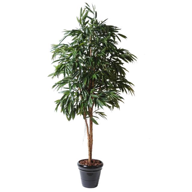 Ficus Artificiel Alii Royal de 190 cm et 250 cm de Hauteur en Pot Pvc