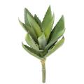 Aloevera Artificielle 12