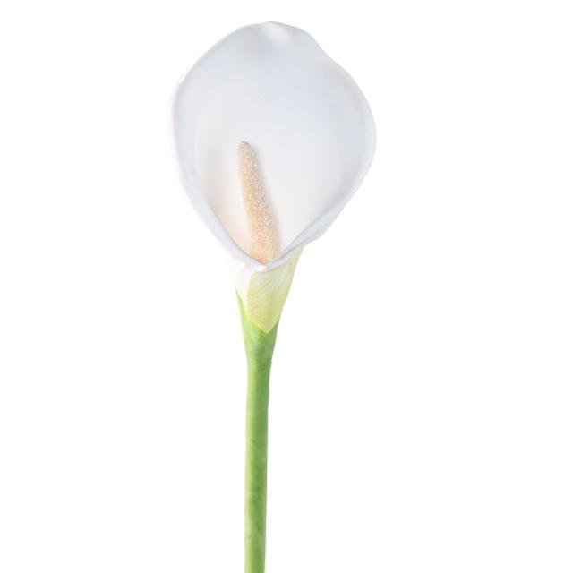 Arum (arome) Artificiel