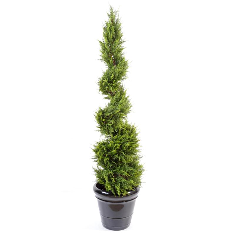Cyprès artificiel Juniperus Spirale fine