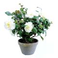 Camelia artificiel pot en terre