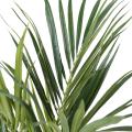 Kentia artificiel Palm