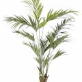 Kentia artificiel Palm