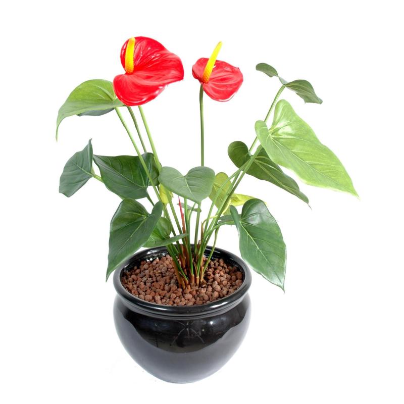 Anthurium artificiel 45 cm