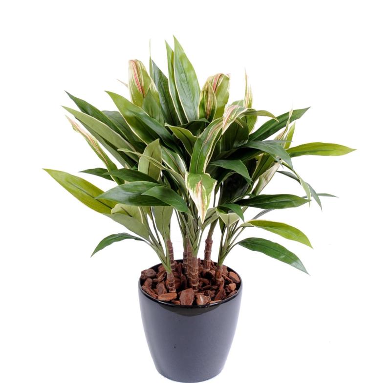 Dracena Artificiel Cordyline Touffe