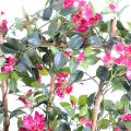 Bougainvillee artificiel New Palissade