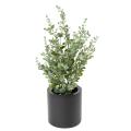 Eucalyptus Artificiel Buisson 90