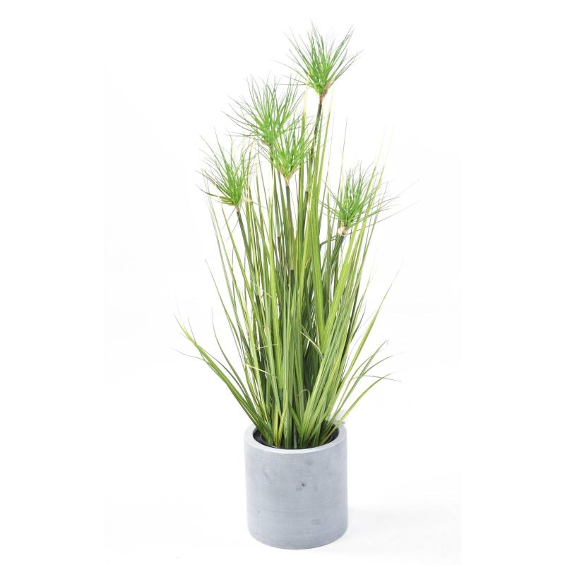 Chrysopogon Artificiel Grass
