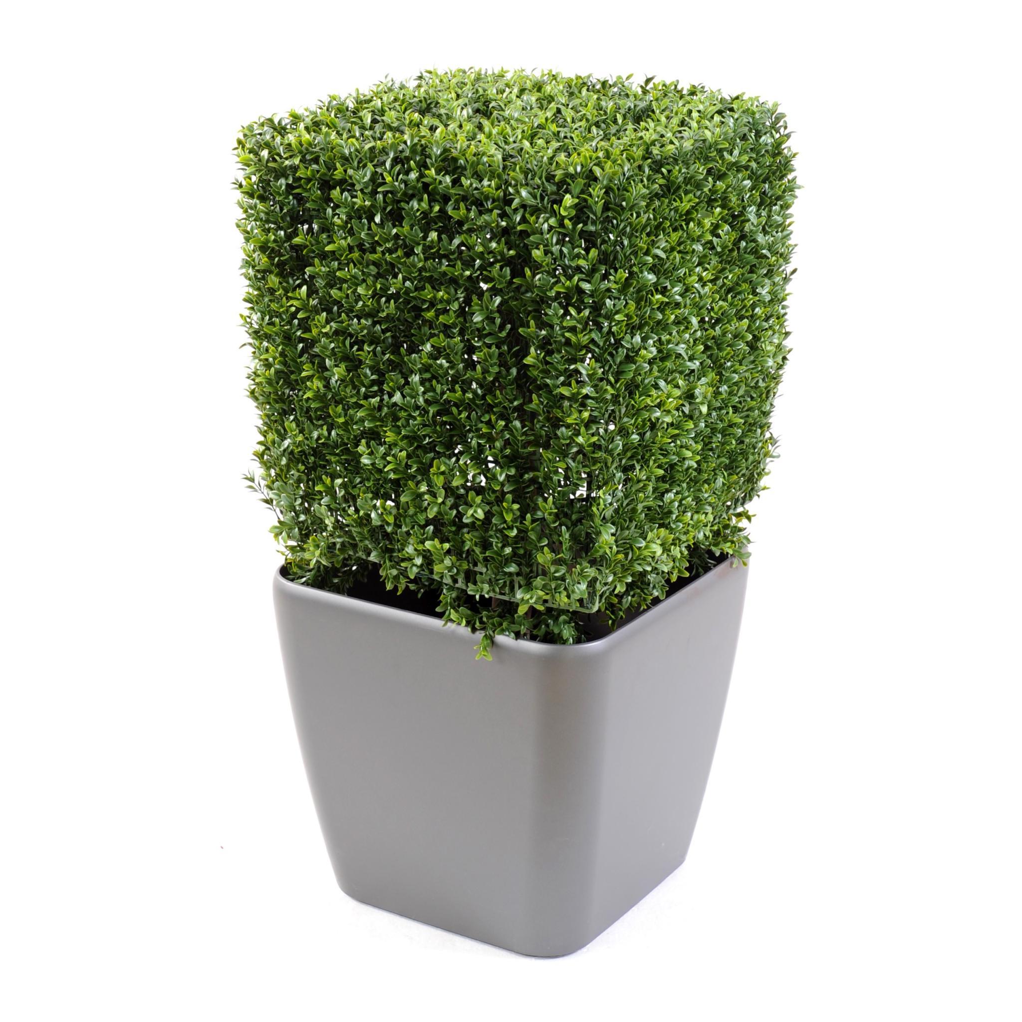 Mini plante en plastique artificielle de Buxus artificiel avec pot