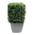 Buis artificiel carré New