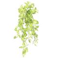 Syngonium Artificiel Mini Chute 80