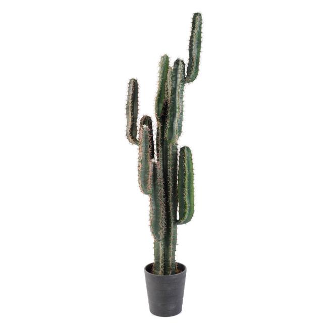 Cactus Artificiel Finger - Cactées et Succulentes Artificielles