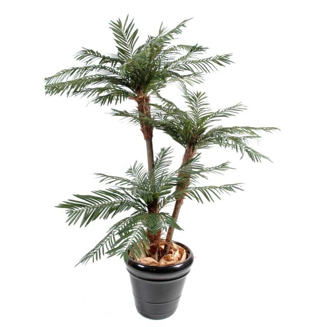 Palmier 3 Troncs NEW Artificiel en Bois Naturel et Fibre de Coco