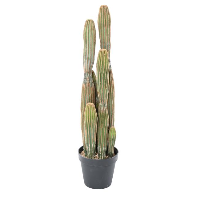 Cactus Artificiel Finger X - Cactées et Succulentes Artificielles