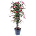 Bougainvillee artificiel New Lianes
