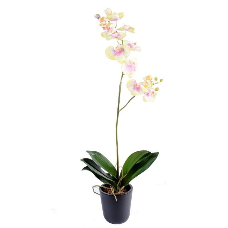 Orchidées artificielle Phalaenopsis L*12