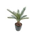 Cycas artificiel baby