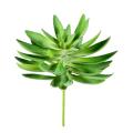 Succulente artificielle 16cm
