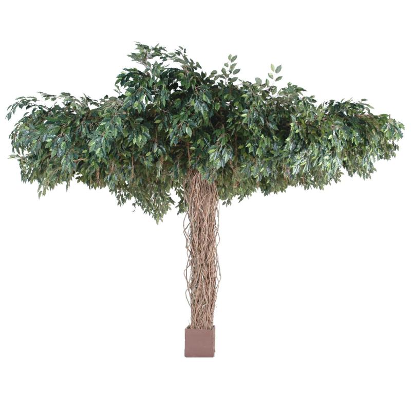 Ficus artificiel lianes umbrella