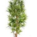 Dracaena Artificiel Reflexa