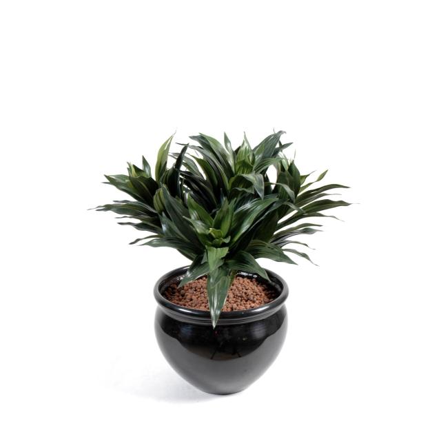 Dracaena Artificiel Fragans de 53 cm de Hauteur en Piquet