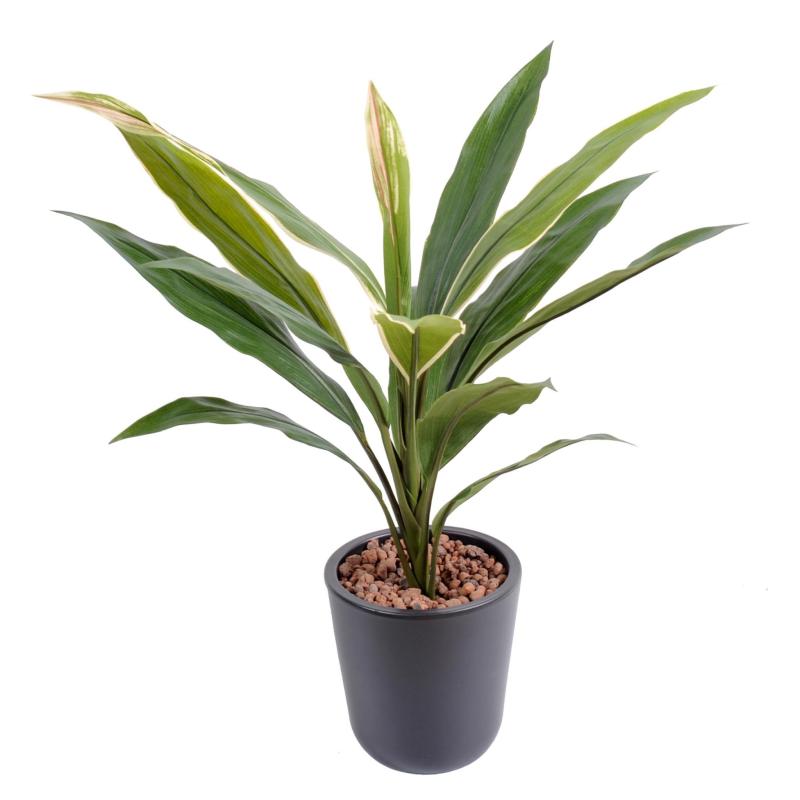 Dracena artificiel Cordyline 60 cm