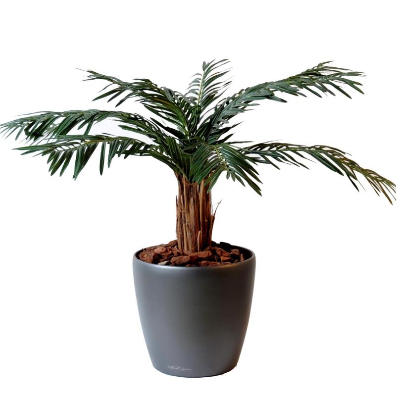 Cycas artificiel palm