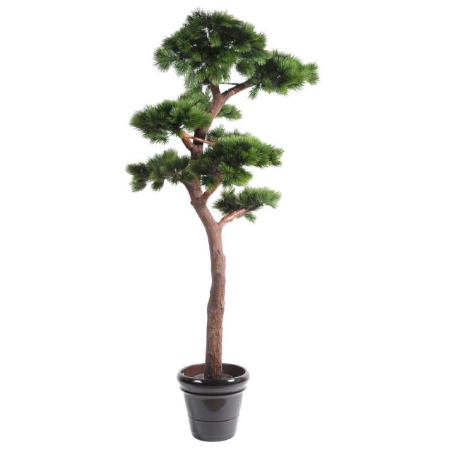 Pin Artificiel Bonsai UV Résistant de 220 cm de Hauteur en Pot Pvc