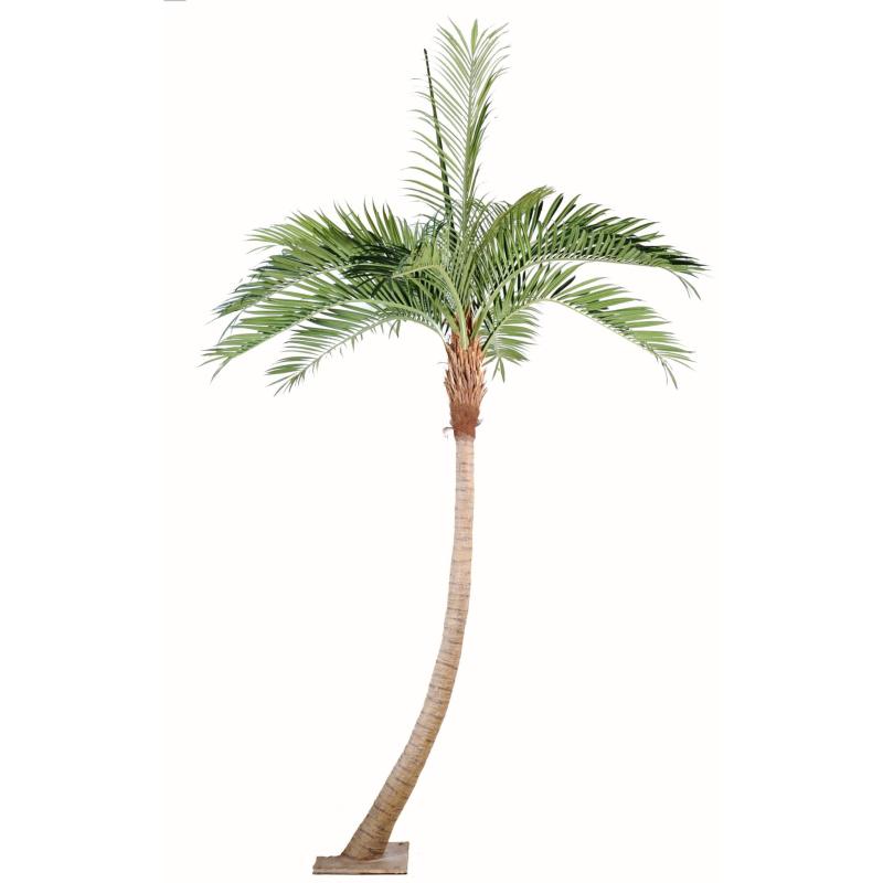 Coconut Artificiel Courbe NEW