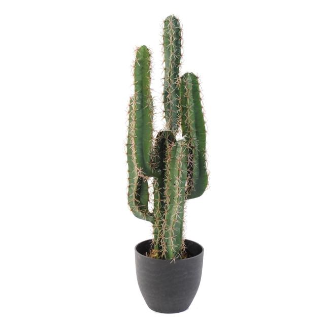 Cactus Artificiel Finger 3 Hauteurs Disponibles 75 cm 150 cm 185 cm