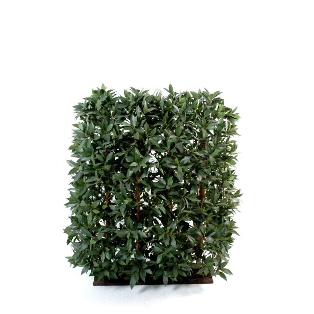 Haie Artificielle de Laurier Toutes Faces H. 120 cm et L. 90 cm