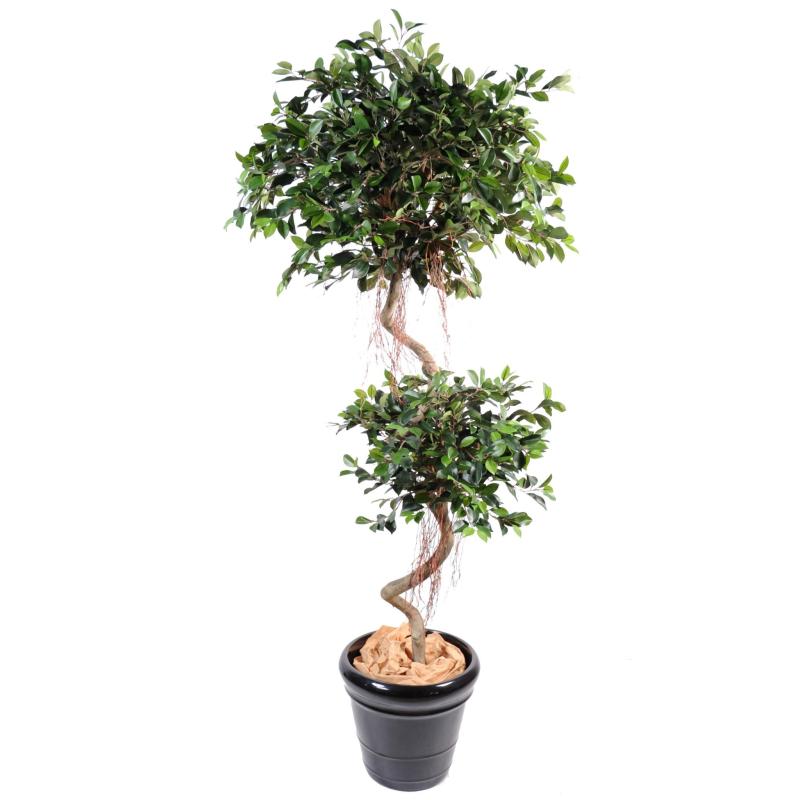 Ficus artificiel spirale 2 boules