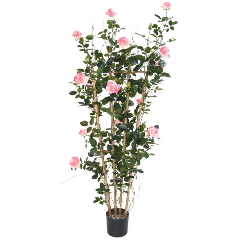 Rosier Artificiel Royal Palissade