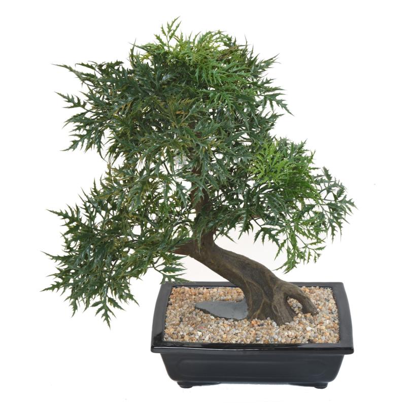 Bonsai Artificiel Aralia en Coupe