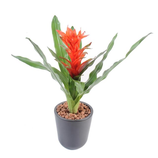 Guzmania Artificiel de 40 cm Avec Fleur Rouge en Tergal