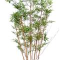 Bambou artificiel Oriental Haie 2