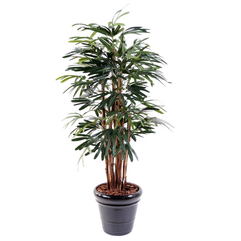 Palmier artificiel Raphis Lady Palm