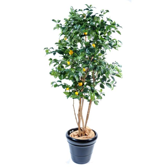 Citronnier Artificiel NEW : Hauteur 150 et 180 cm Avec Citrons Artificiels