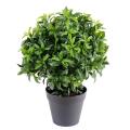 Laurier artificiel Plast Buisson