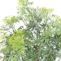 Aralia artificiel Ming Nitida 10 troncs